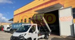 Fiat Ducato Maxi Ribaltabile